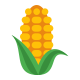 Corn, sweet, yellow, canned, whole kernel, drained solids