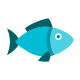 Perciformes (Perch-like fishes)