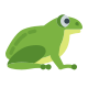 True frog