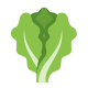 Spinach, frozen, chopped or leaf, unprepared