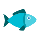 Atlantic menhaden