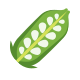 Sesame