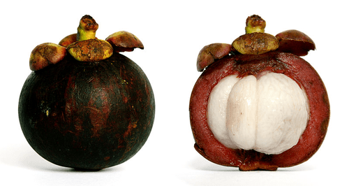 Purple Mangosteen