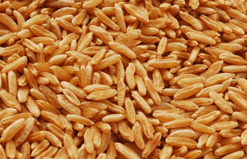 Oriental Wheat