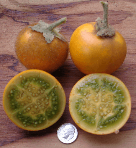 Naranjilla